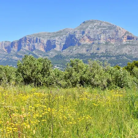 Apartment Arenal Park - 5046 Javea